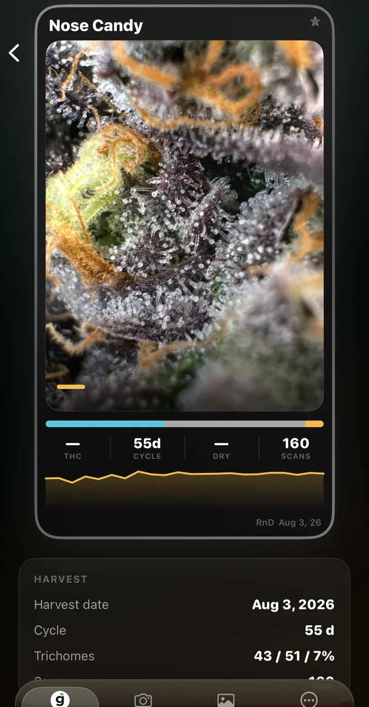 Strain card with scans and cycle