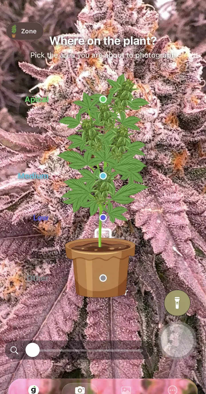 Pick the zone of the plant