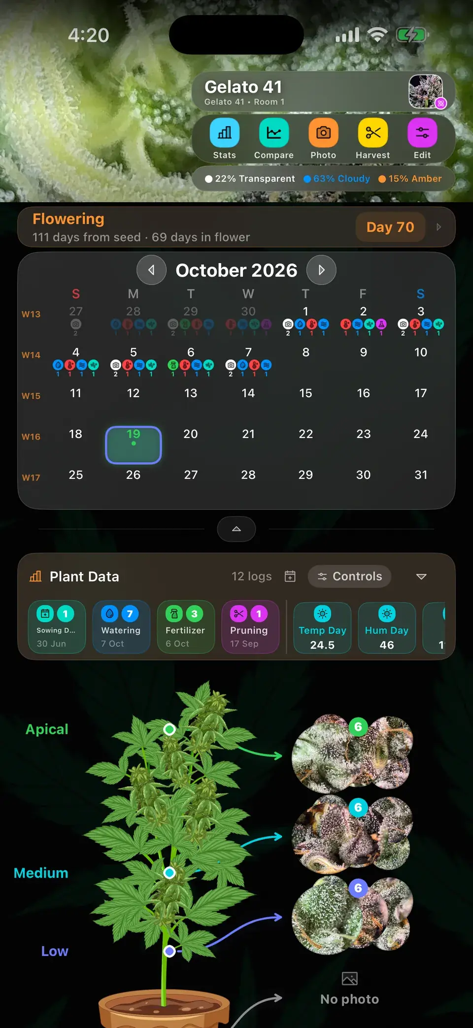 Strain card with scans and cycle