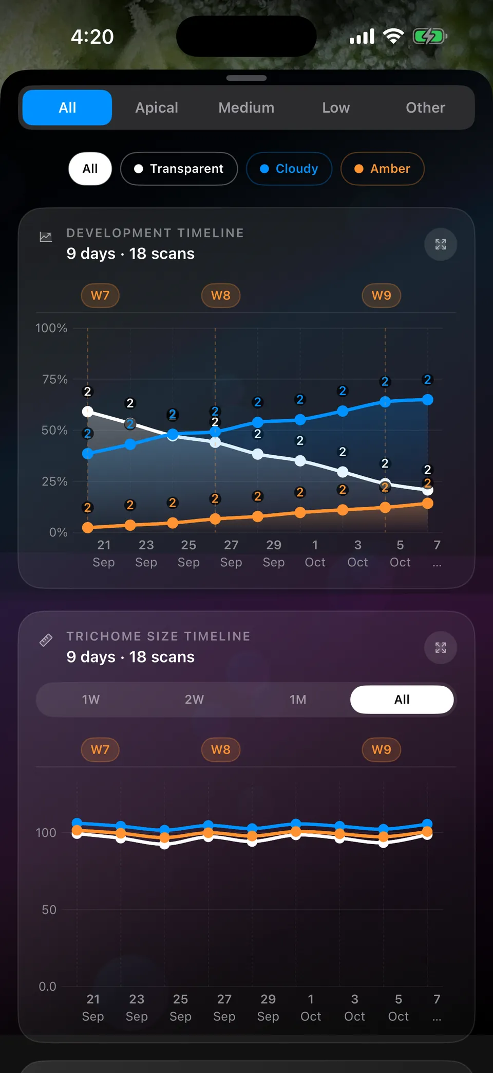 Development timeline