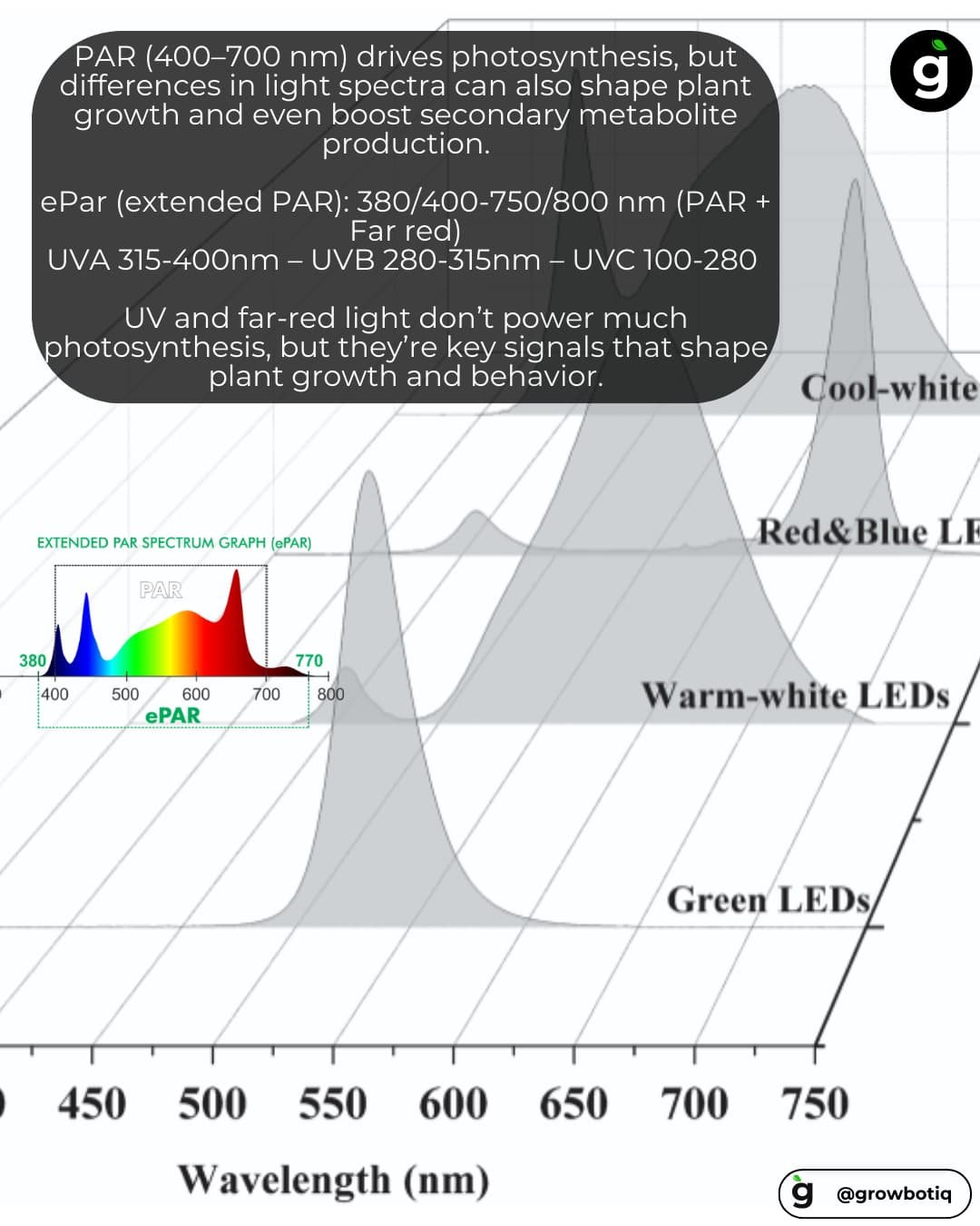 Different common lights wavelengths