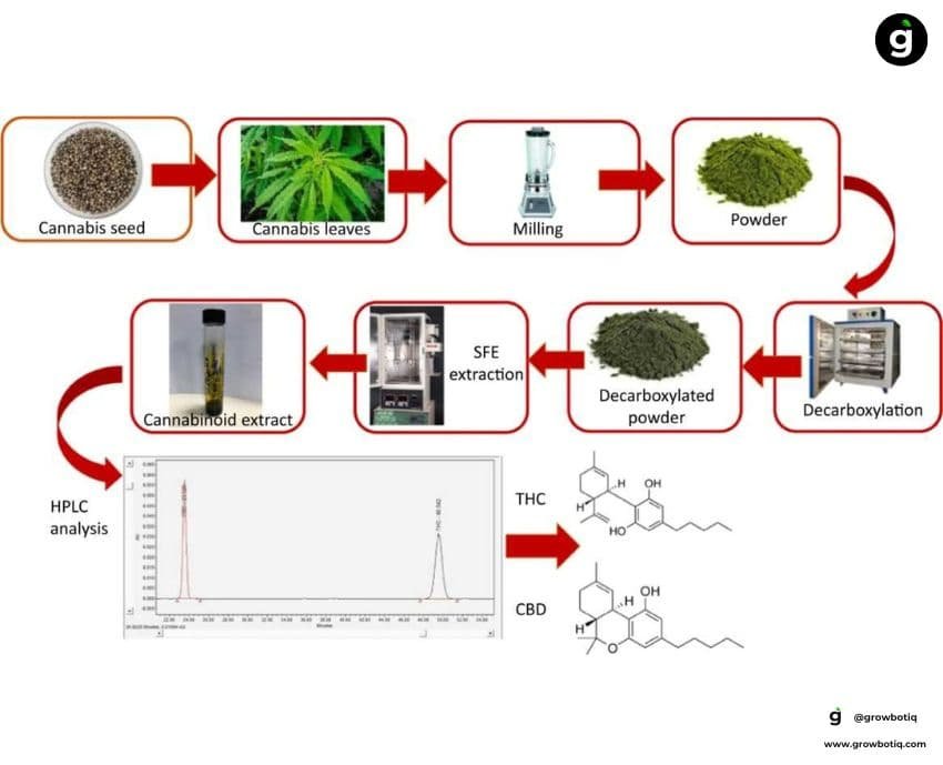 Cannabis extract — decarboxylation and cannabinoid conversion