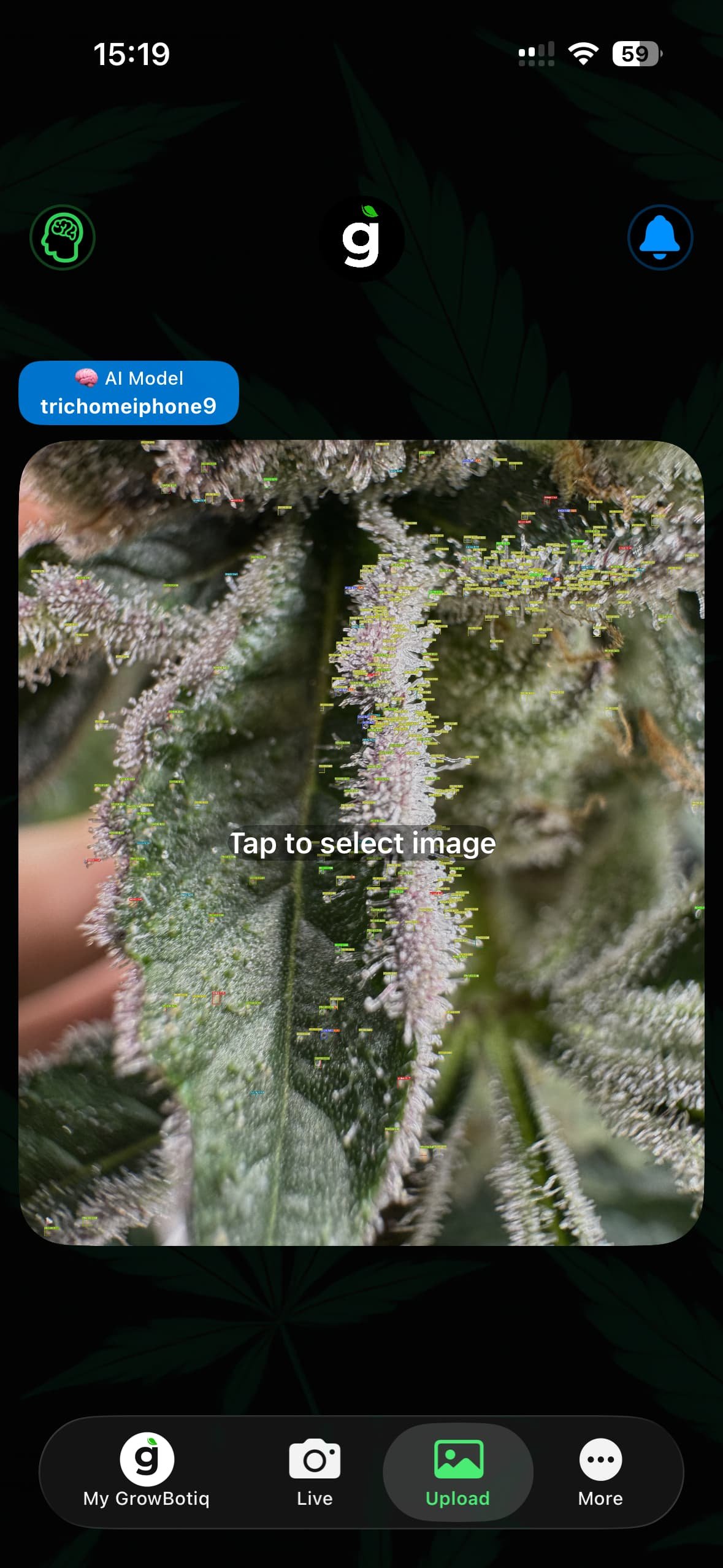 GrowBotiq Lab — Upload tab in the bottom tab bar